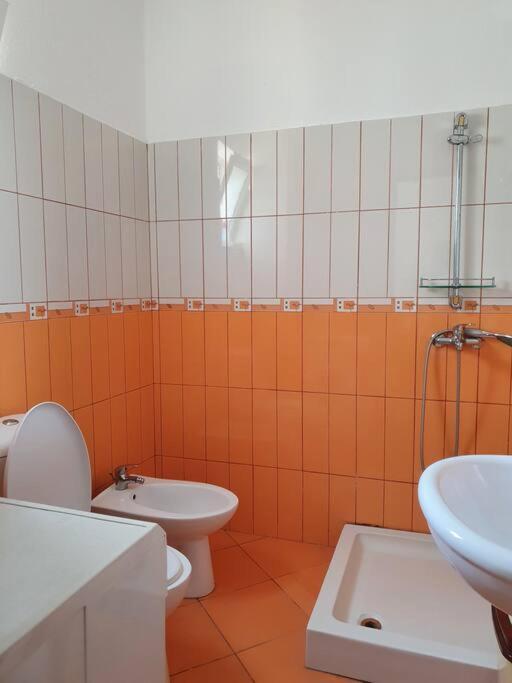 Cozy Apartment Near Ohrid Lake Pogradec Exterior foto